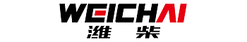 Weichai New Energy Power Technology Co., Ltd.
