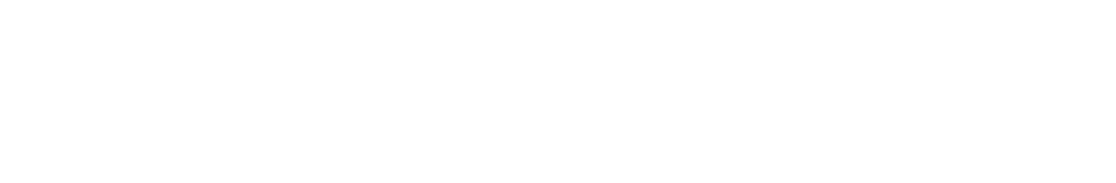 Groupe Weichai Holdings Co., Ltd.